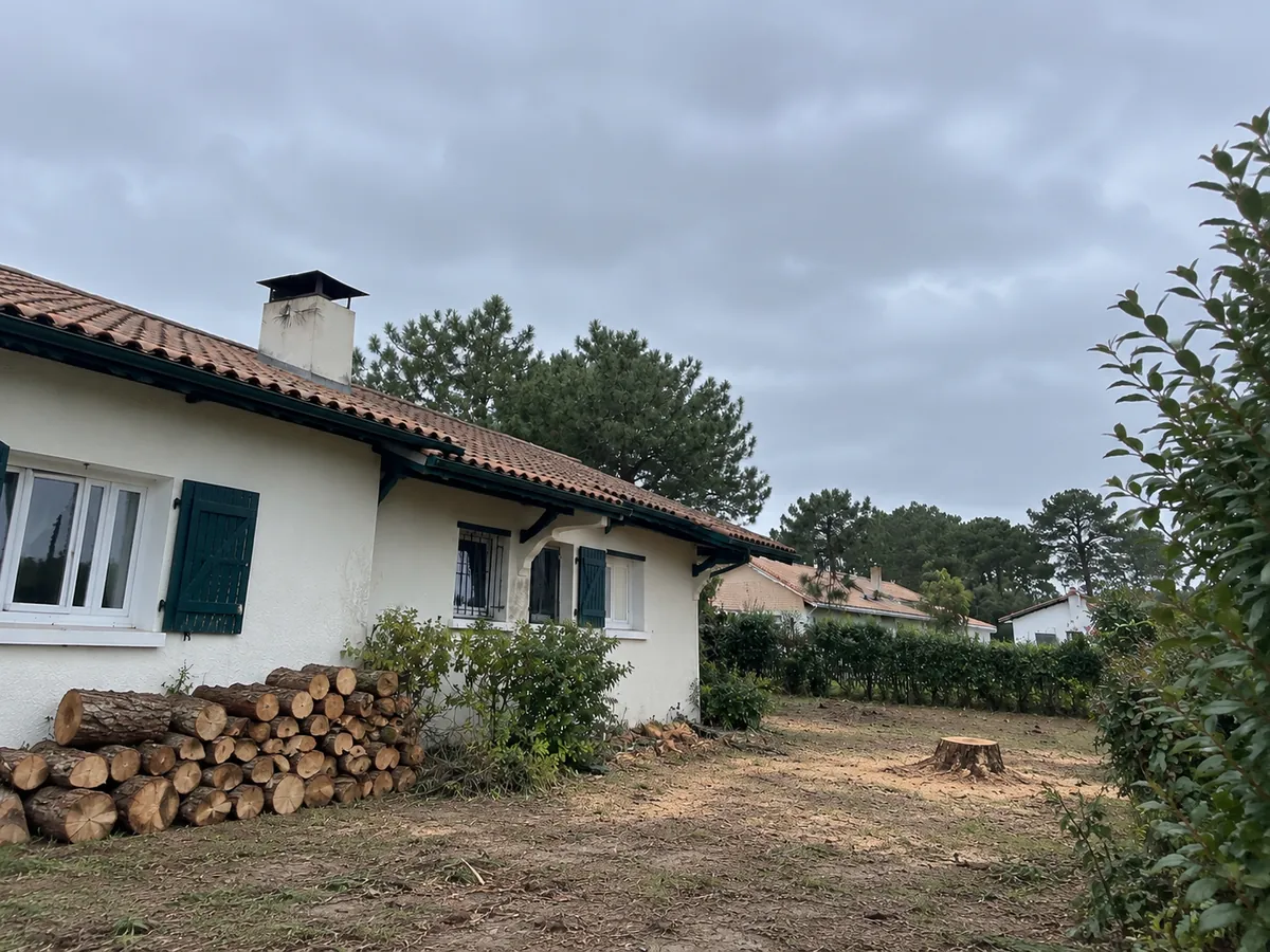 Jardin dégagé après l'abattage de l'arbre