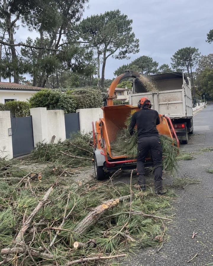 Broyeur de branches sur un chantier d'élagage